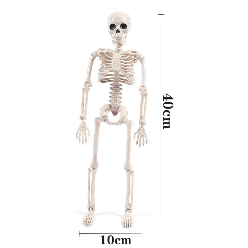 Halloween Human Skeleton Figures | Scary Props for Party Decor