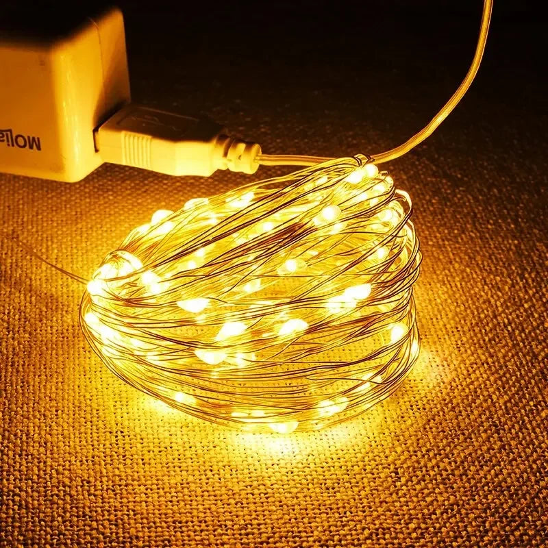 Decorative USB LED String Lights – 5M Silver Wire for Holiday and Party Decor