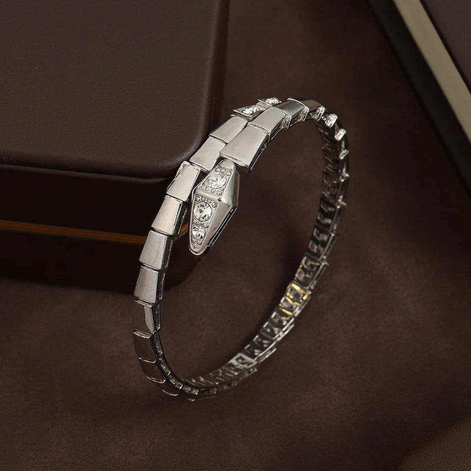 Fashionable Snake Bone Open Bracelet | Trendy Accessory for All Seasons