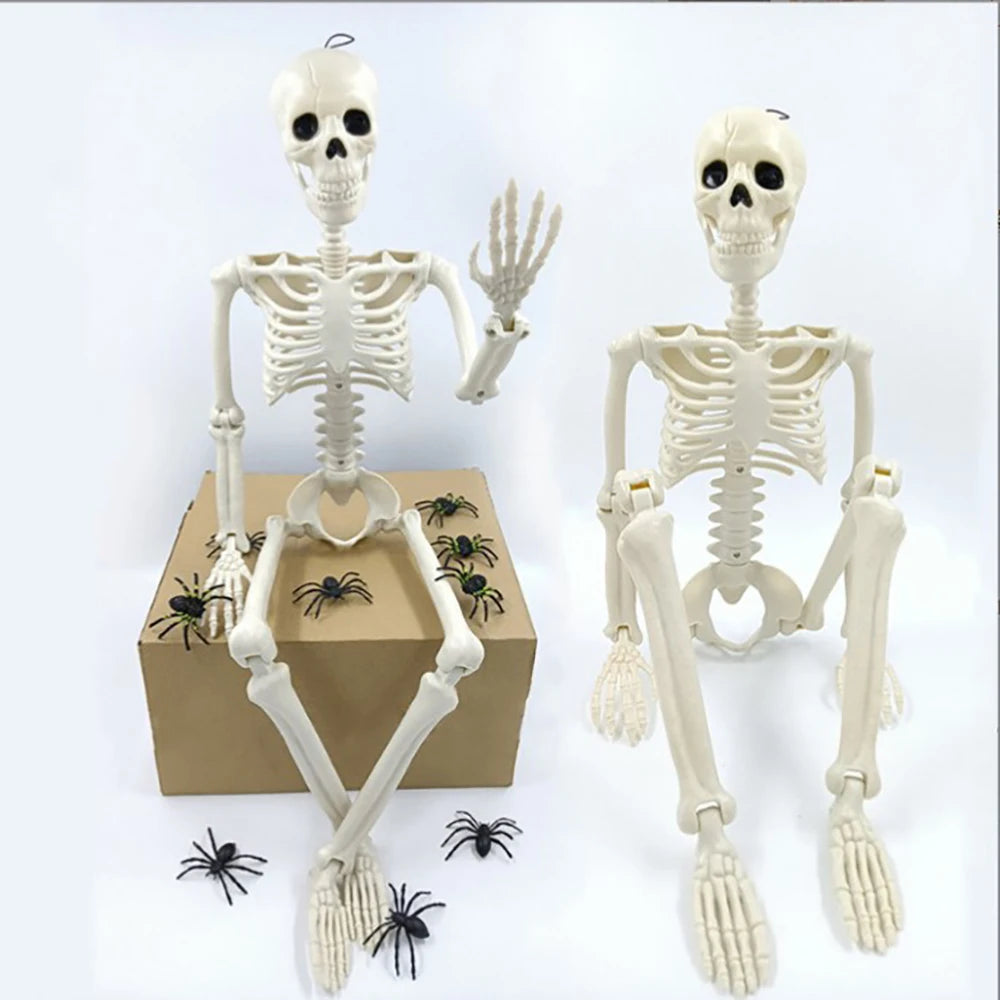 Creepy Human Skeleton Props | Perfect for Halloween Parties