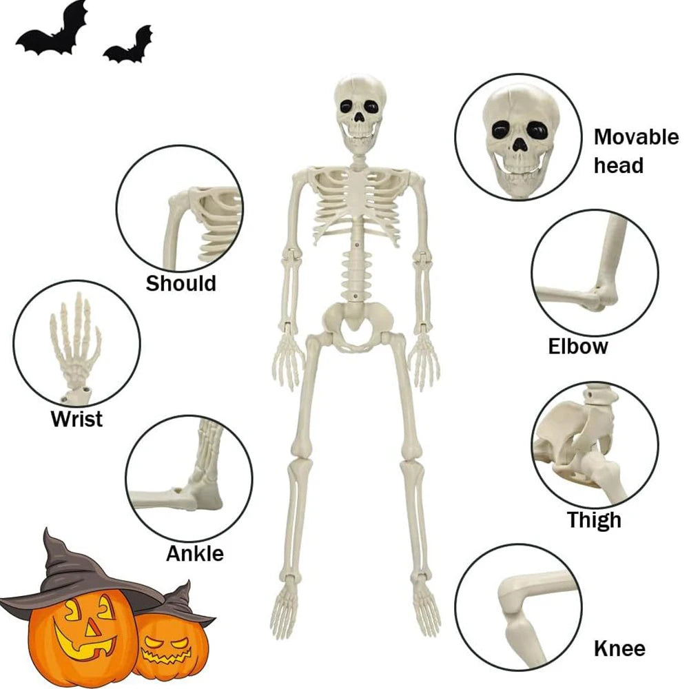 Creepy Human Skeleton Props | Perfect for Halloween Parties