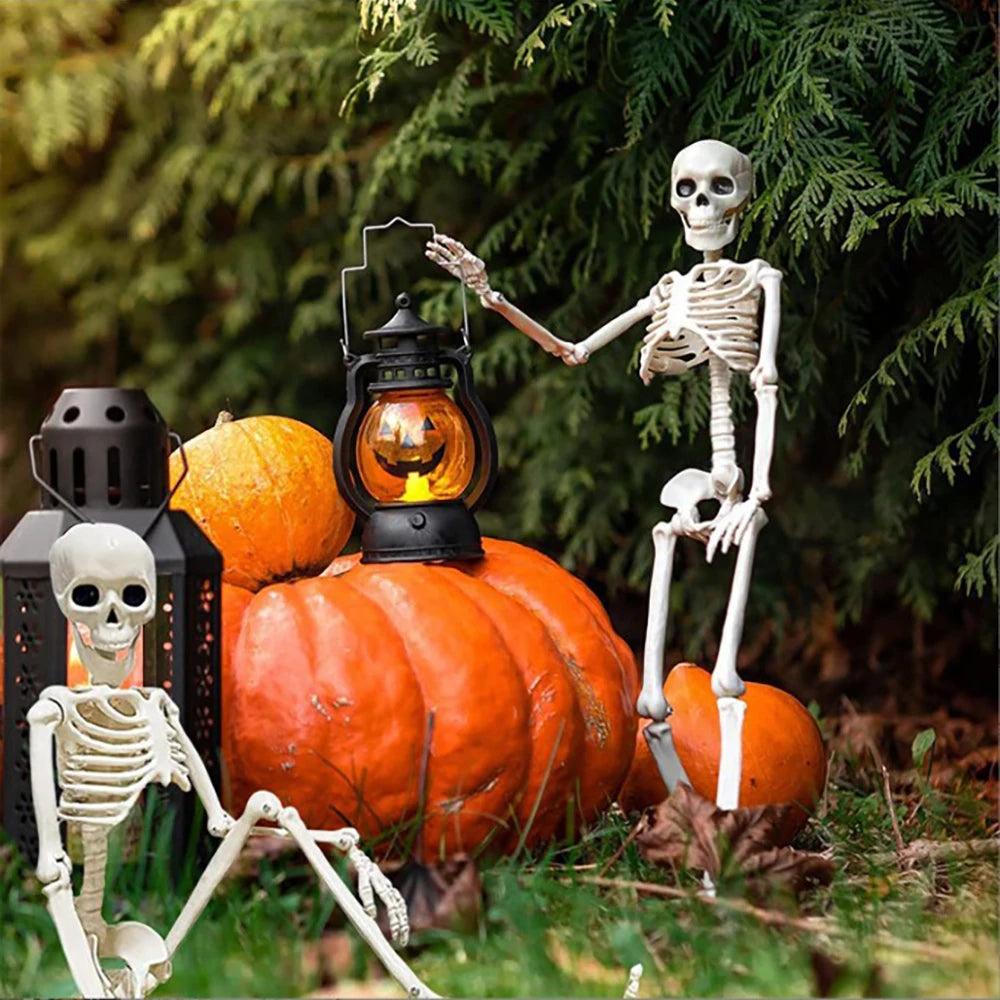 Creepy Human Skeleton Props | Perfect for Halloween Parties