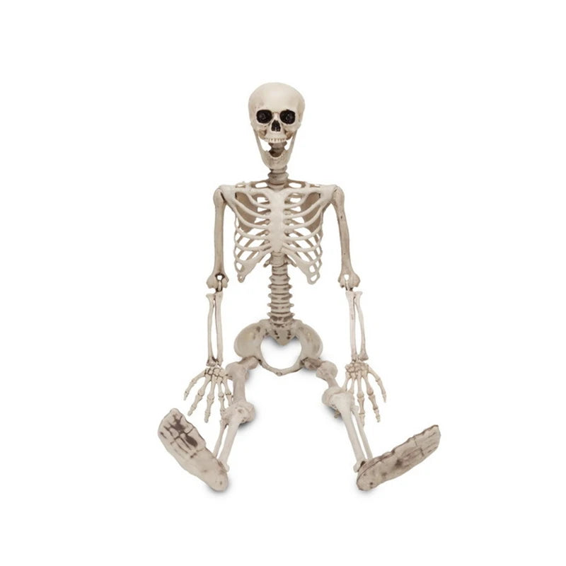 Halloween Human Skeleton Figures | Scary Props for Party Decor