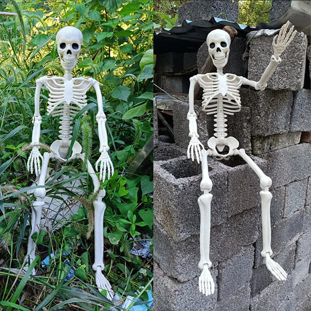 Creepy Human Skeleton Props | Perfect for Halloween Parties