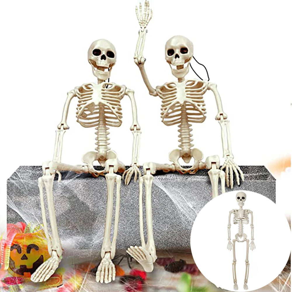 Creepy Human Skeleton Props | Perfect for Halloween Parties